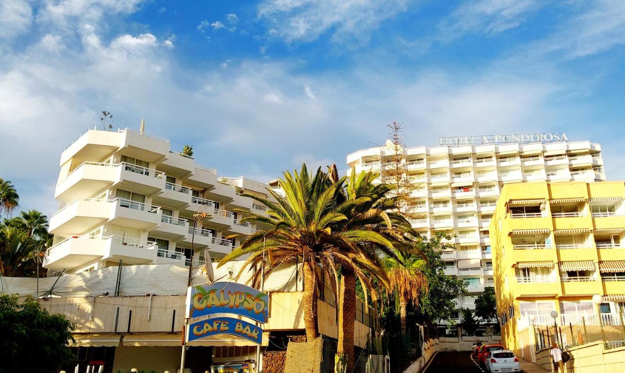 Under The Palm Apartment Playa de las Americas  Exterior photo