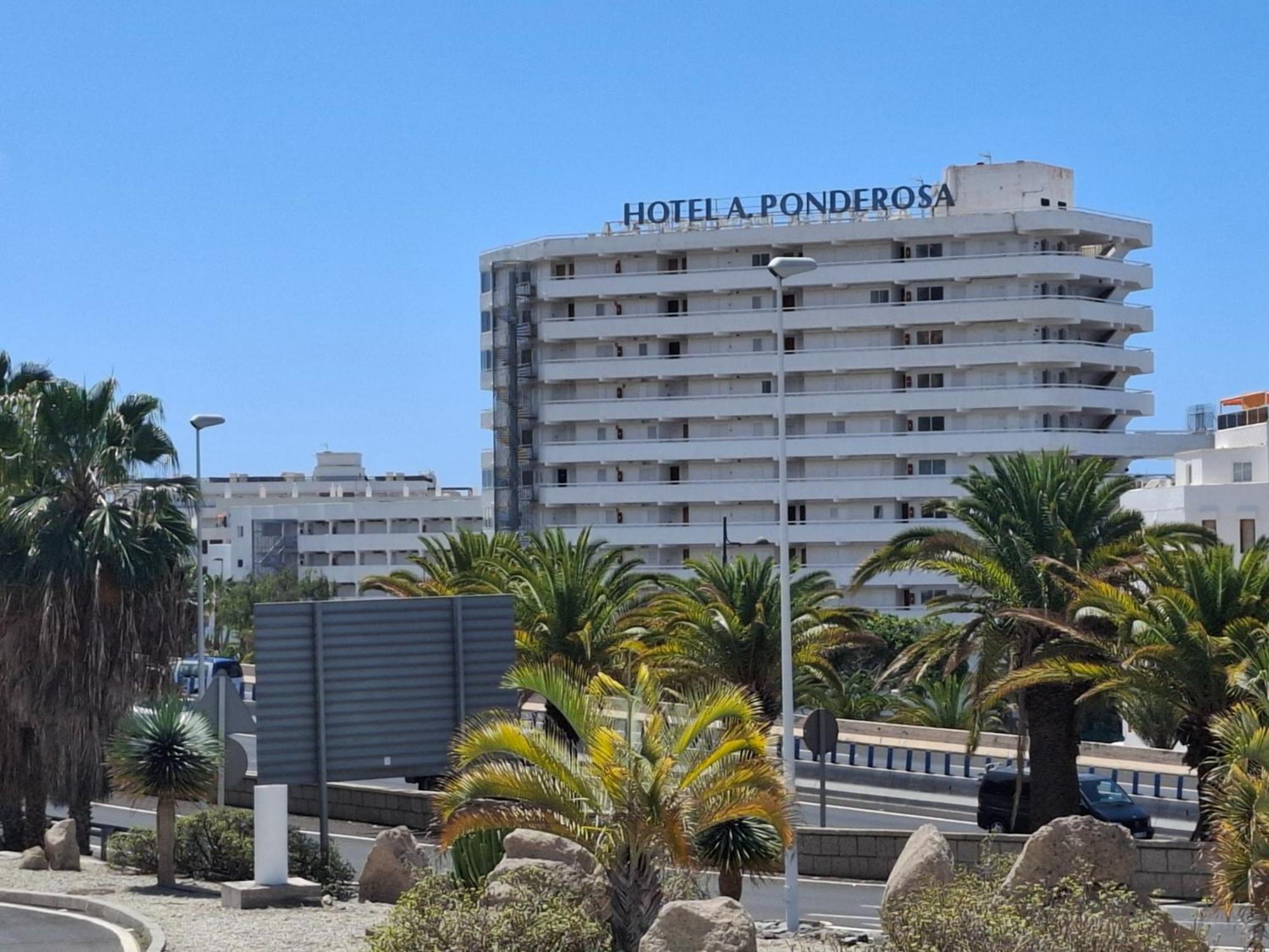 Under The Palm Apartment Playa de las Americas  Exterior photo